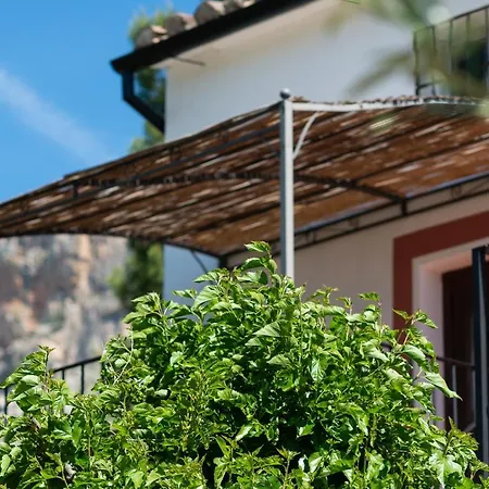 El Arpa אל צ'ורו